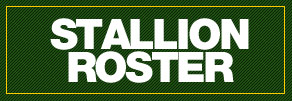 View our current stallion roster